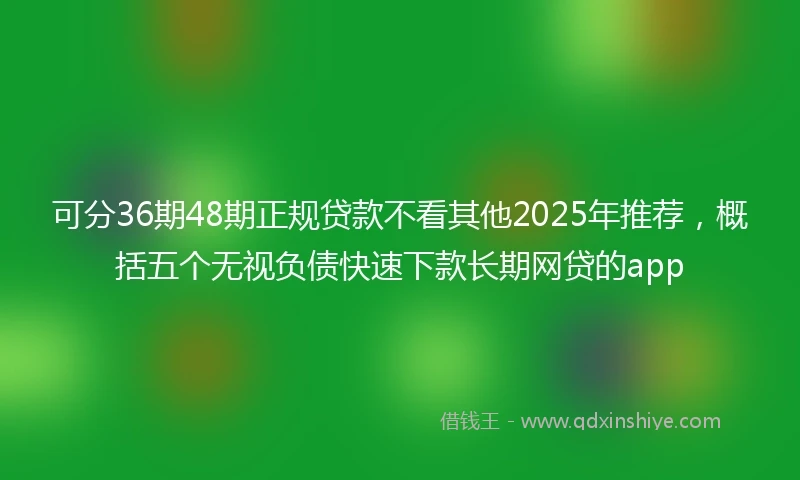 可分36期48期正规贷款不看其他2025年推荐，概括五个无视负债快速下款长期网贷的app