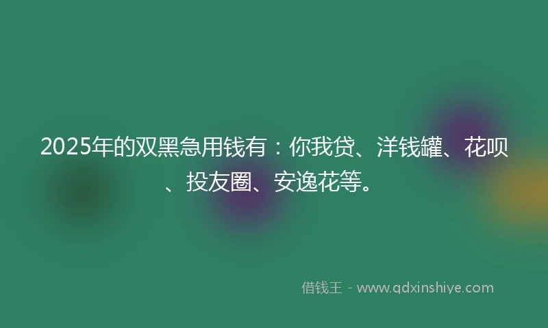 2025年的双黑急用钱有：你我贷、洋钱罐、花呗、投友圈、安逸花等。
