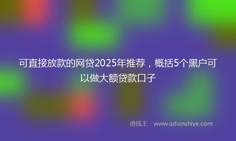 可直接放款的网贷2025年推荐,概括5个黑户可以做大额贷款口子