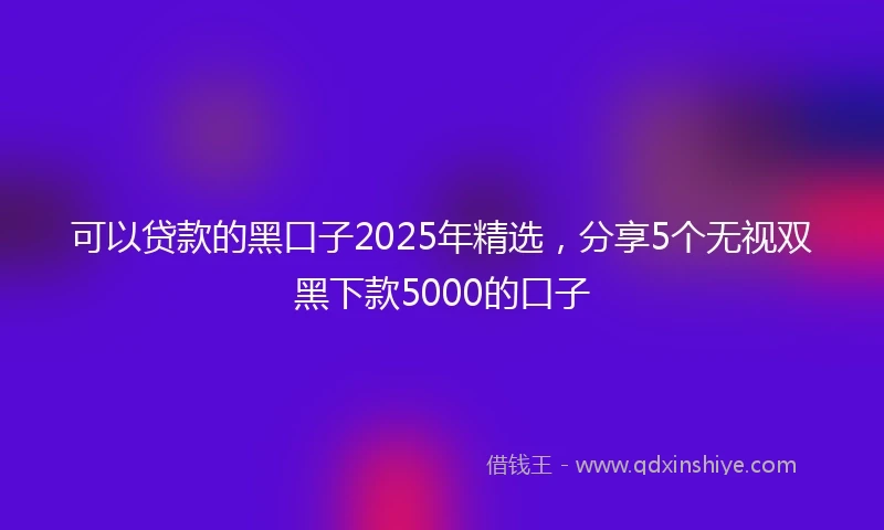 可以贷款的黑口子2025年精选，分享5个无视双黑下款5000的口子