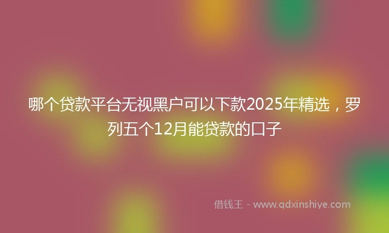 哪个贷款平台无视黑户可以下款2025年精选，罗列五个12月能贷款的口子
