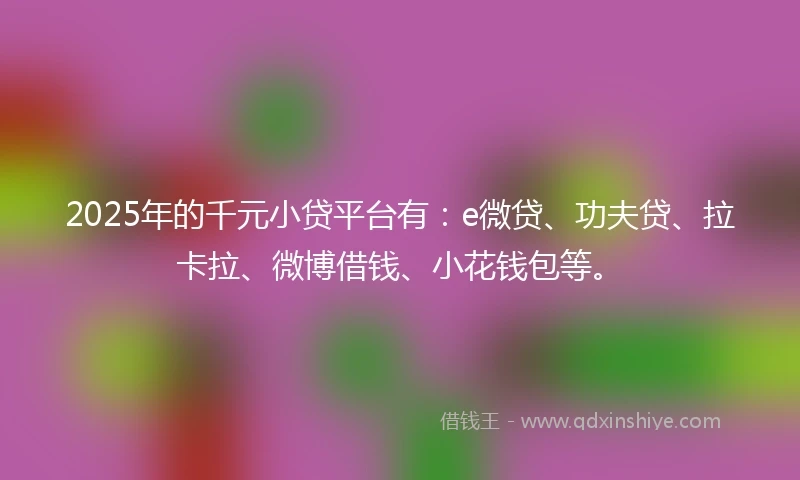 2025年的千元小贷平台有：e微贷、功夫贷、拉卡拉、微博借钱、小花钱包等。