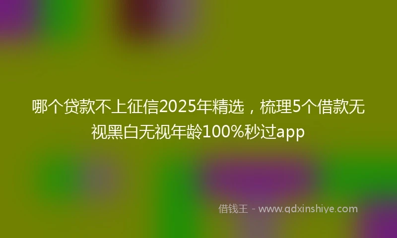 哪个贷款不上征信2025年精选，梳理5个借款无视黑白无视年龄100%秒过app