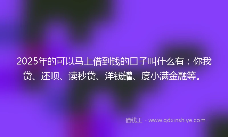 2025年的可以马上借到钱的口子叫什么有:你我贷、还呗、读秒贷、洋钱罐、度小满金融等。