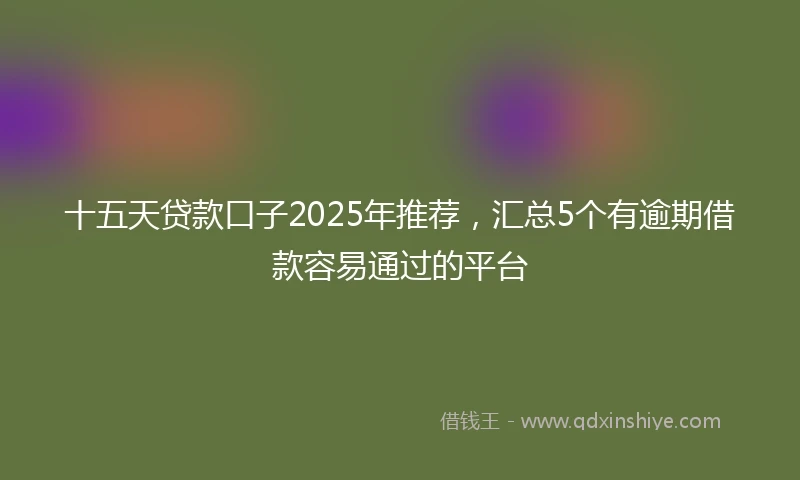 十五天贷款口子2025年推荐，汇总5个有逾期借款容易通过的平台
