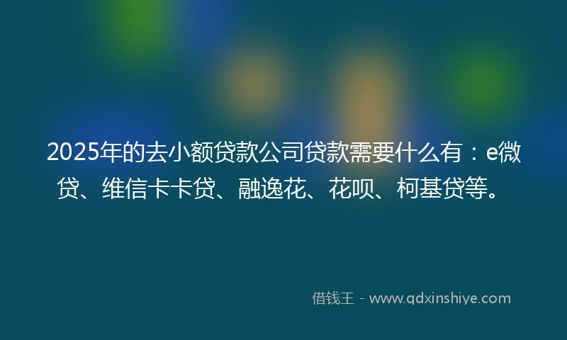 2025年的去小额贷款公司贷款需要什么有：e微贷、维信卡卡贷、融逸花、花呗、柯基贷等。