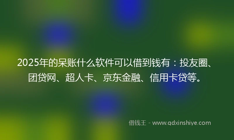 2025年的呆账什么软件可以借到钱有：投友圈、团贷网、超人卡、京东金融、信用卡贷等。