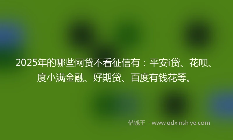 2025年的哪些网贷不看征信有:平安i贷、花呗、度小满金融、好期贷、百度有钱花等。