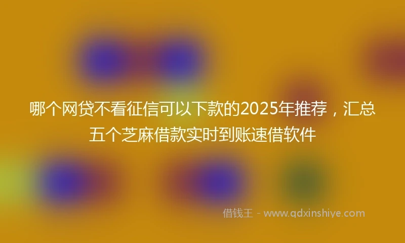 哪个网贷不看征信可以下款的2025年推荐,汇总五个芝麻借款实时到账速借软件