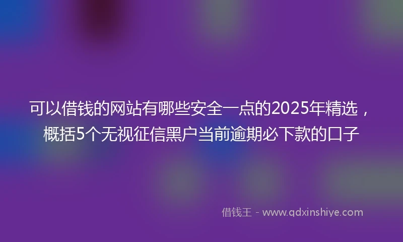 可以借钱的网站有哪些安全一点的2025年精选，概括5个无视征信黑户当前逾期必下款的口子