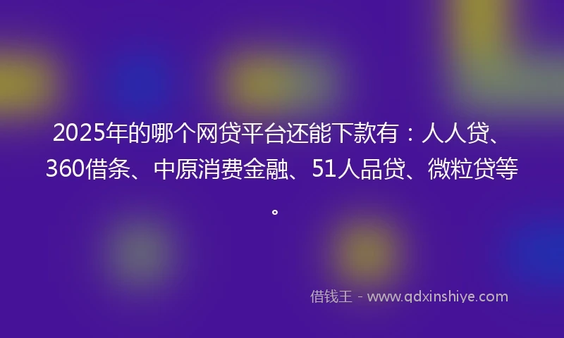 2025年的哪个网贷平台还能下款有：人人贷、360借条、中原消费金融、51人品贷、微粒贷等。