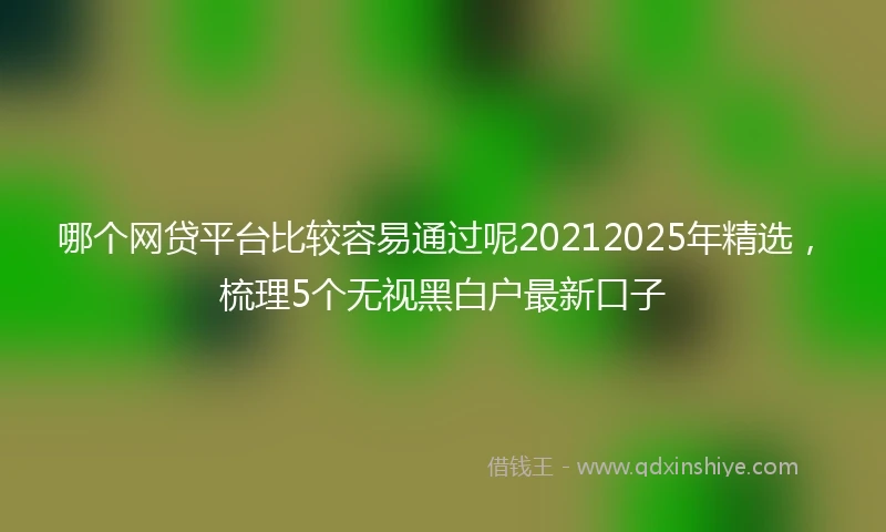哪个网贷平台比较容易通过呢20212025年精选，梳理5个无视黑白户最新口子