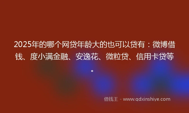 2025年的哪个网贷年龄大的也可以贷有：微博借钱、度小满金融、安逸花、微粒贷、信用卡贷等。