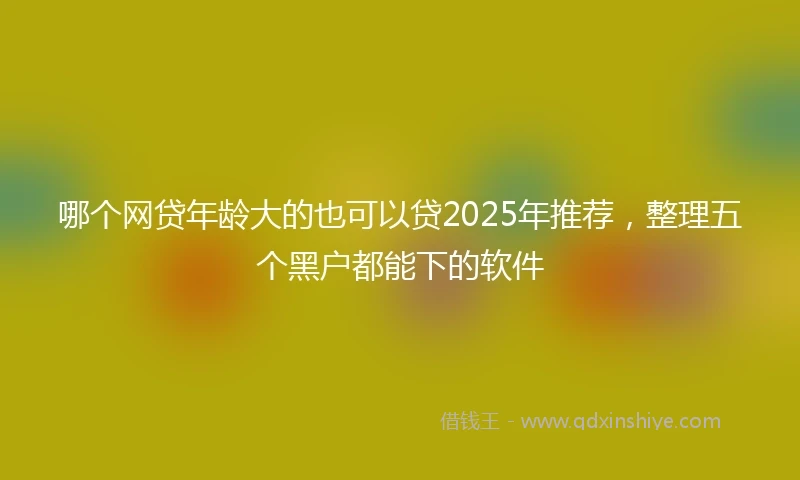 哪个网贷年龄大的也可以贷2025年推荐，整理五个黑户都能下的软件