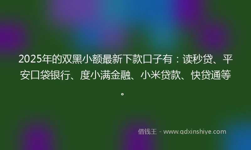2025年的双黑小额最新下款口子有：读秒贷、平安口袋银行、度小满金融、小米贷款、快贷通等。
