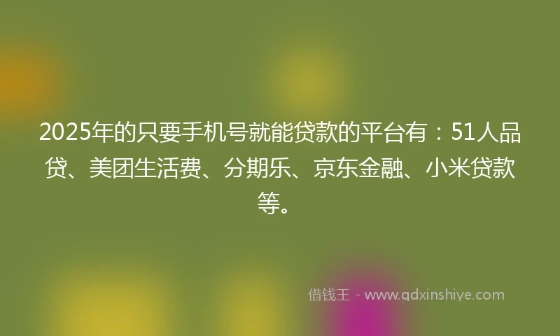 2025年的只要手机号就能贷款的平台有：51人品贷、美团生活费、分期乐、京东金融、小米贷款等。