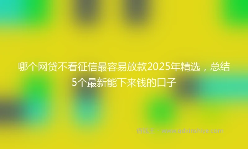 哪个网贷不看征信最容易放款2025年精选,总结5个最新能下来钱的口子