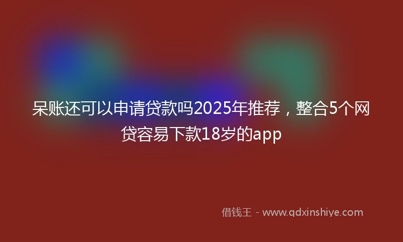 呆账还可以申请贷款吗2025年推荐，整合5个网贷容易下款18岁的app