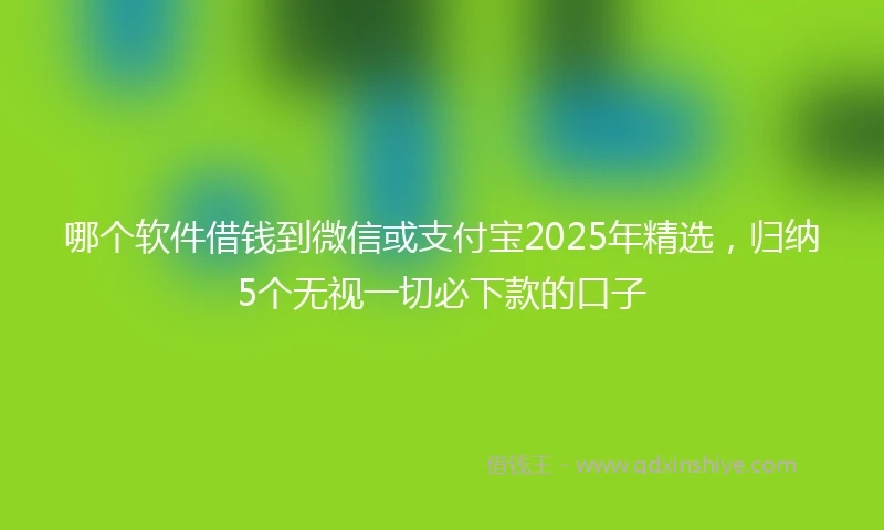 哪个软件借钱到微信或支付宝2025年精选，归纳5个无视一切必下款的口子