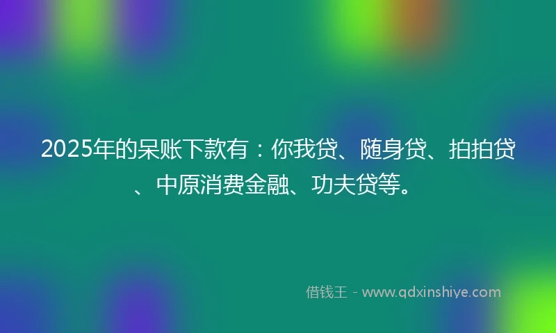 2025年的呆账下款有:你我贷、随身贷、拍拍贷、中原消费金融、功夫贷等。