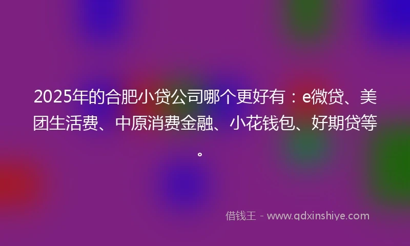 2025年的合肥小贷公司哪个更好有：e微贷、美团生活费、中原消费金融、小花钱包、好期贷等。