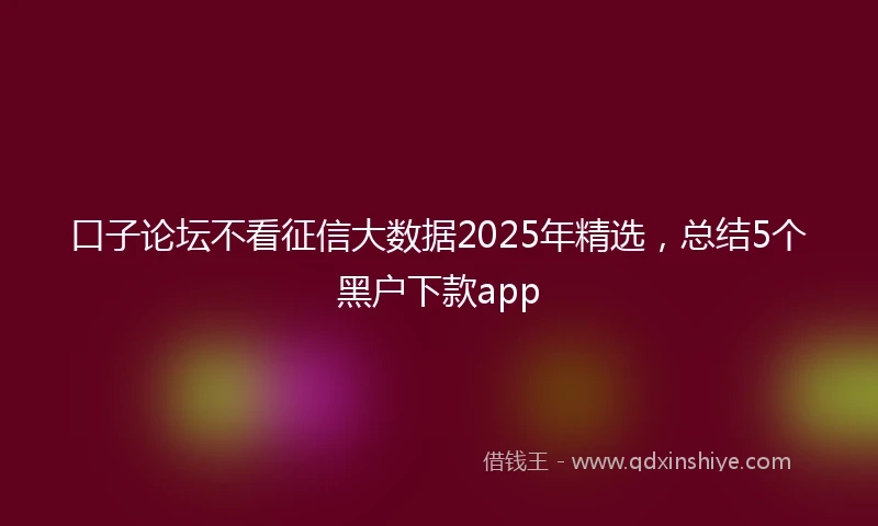 口子论坛不看征信大数据2025年精选，总结5个黑户下款app