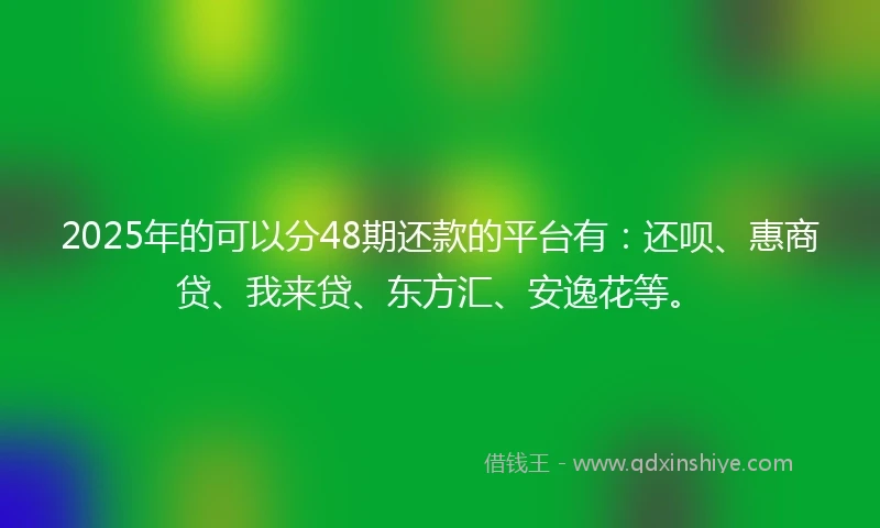 2025年的可以分48期还款的平台有：还呗、惠商贷、我来贷、东方汇、安逸花等。