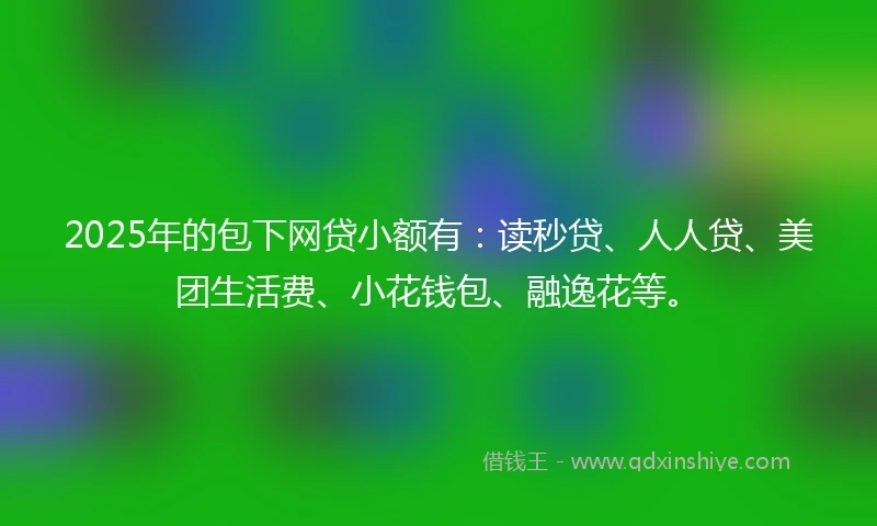 2025年的包下网贷小额有：读秒贷、人人贷、美团生活费、小花钱包、融逸花等。