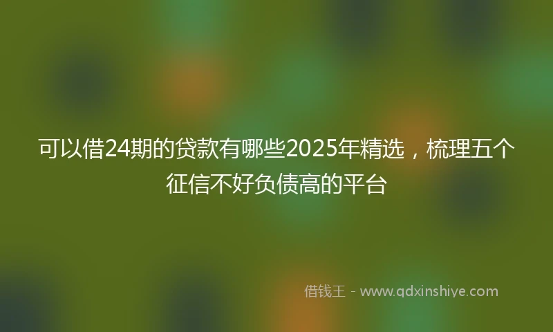 可以借24期的贷款有哪些2025年精选，梳理五个征信不好负债高的平台