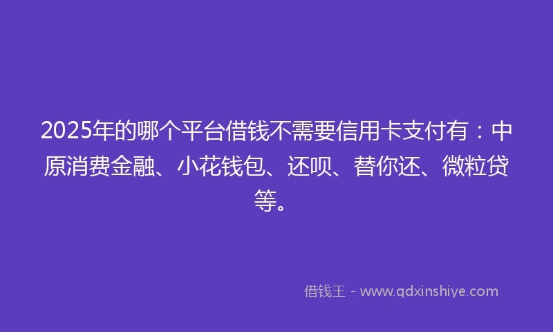 2025年的哪个平台借钱不需要信用卡支付有：中原消费金融、小花钱包、还呗、替你还、微粒贷等。