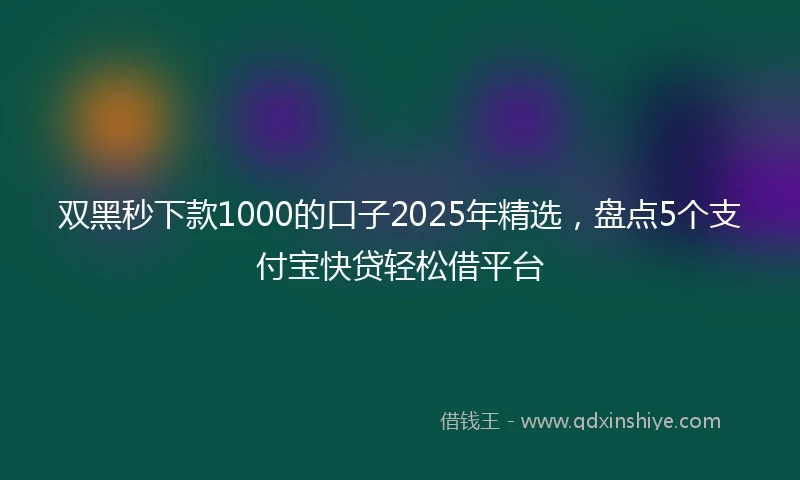 双黑秒下款1000的口子2025年精选，盘点5个支付宝快贷轻松借平台