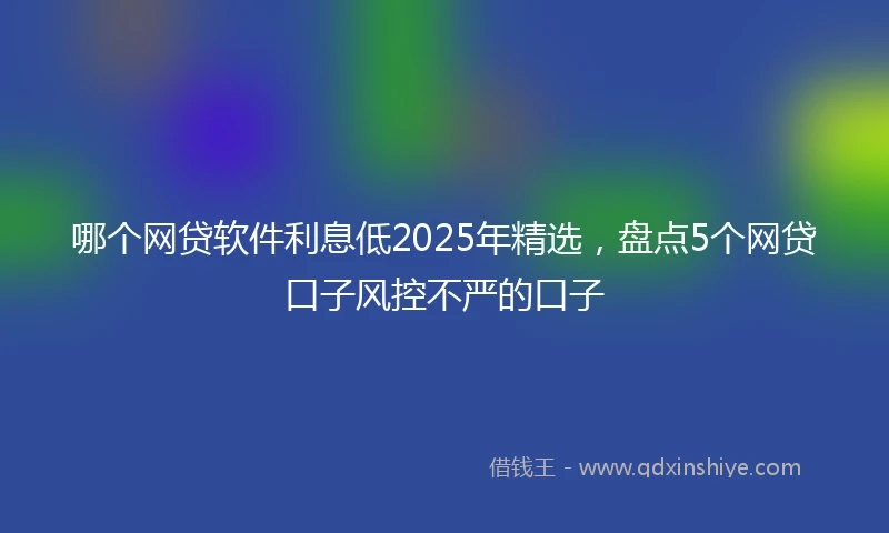 哪个网贷软件利息低2025年精选，盘点5个网贷口子风控不严的口子