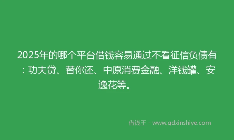 2025年的哪个平台借钱容易通过不看征信负债有：功夫贷、替你还、中原消费金融、洋钱罐、安逸花等。