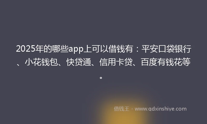 2025年的哪些app上可以借钱有:平安口袋银行、小花钱包、快贷通、信用卡贷、百度有钱花等。