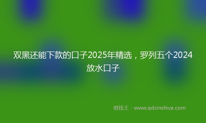 双黑还能下款的口子2025年精选，罗列五个2024放水口子