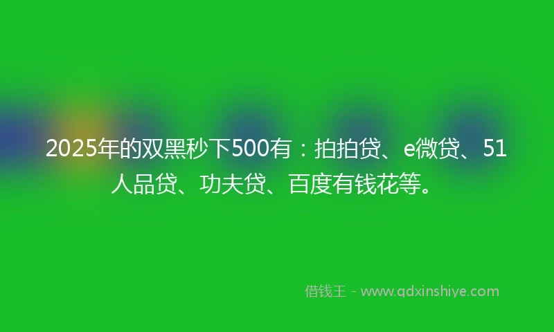 2025年的双黑秒下500有：拍拍贷、e微贷、51人品贷、功夫贷、百度有钱花等。