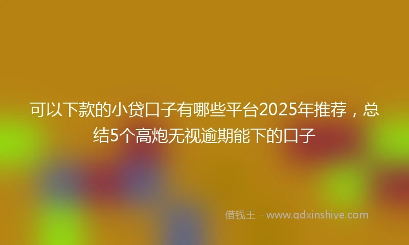 可以下款的小贷口子有哪些平台2025年推荐，总结5个高炮无视逾期能下的口子