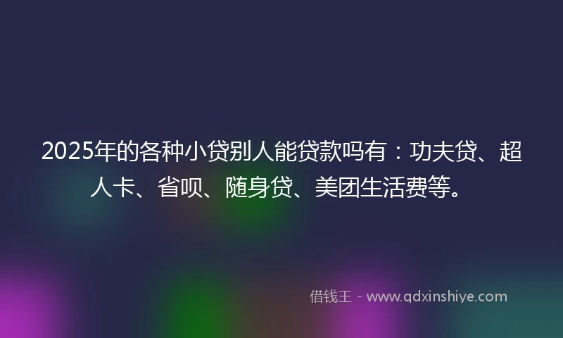 2025年的各种小贷别人能贷款吗有:功夫贷、超人卡、省呗、随身贷、美团生活费等。