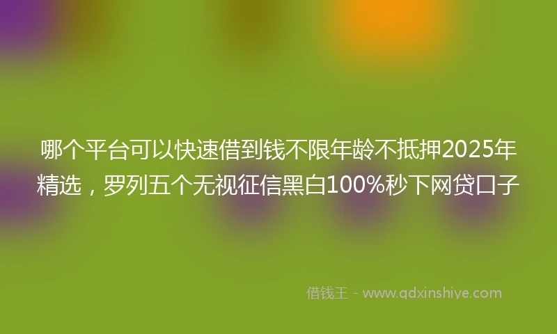 哪个平台可以快速借到钱不限年龄不抵押2025年精选，罗列五个无视征信黑白100%秒下网贷口子