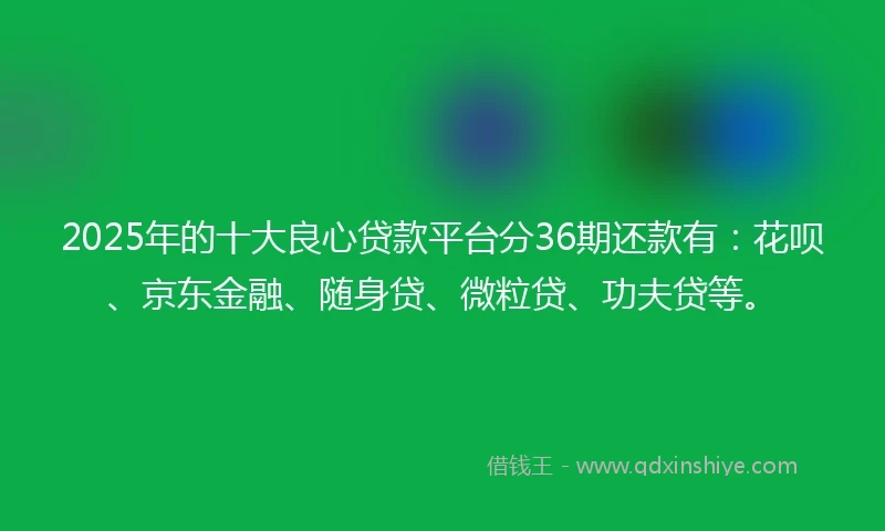 2025年的十大良心贷款平台分36期还款有：花呗、京东金融、随身贷、微粒贷、功夫贷等。