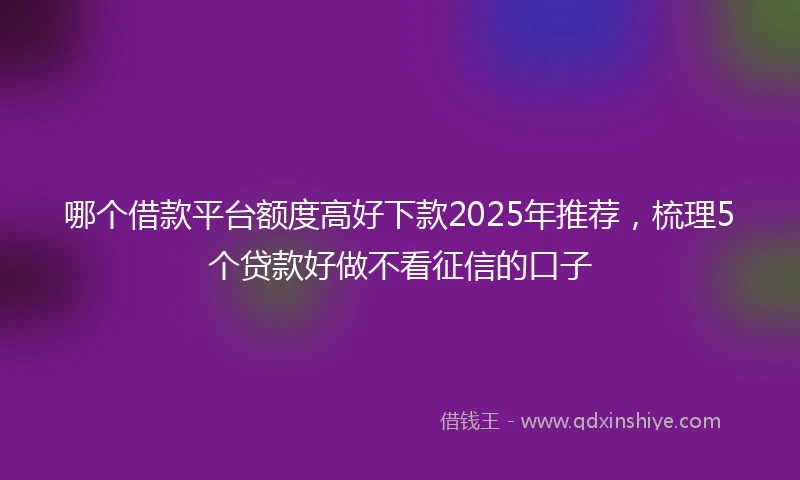 哪个借款平台额度高好下款2025年推荐，梳理5个贷款好做不看征信的口子