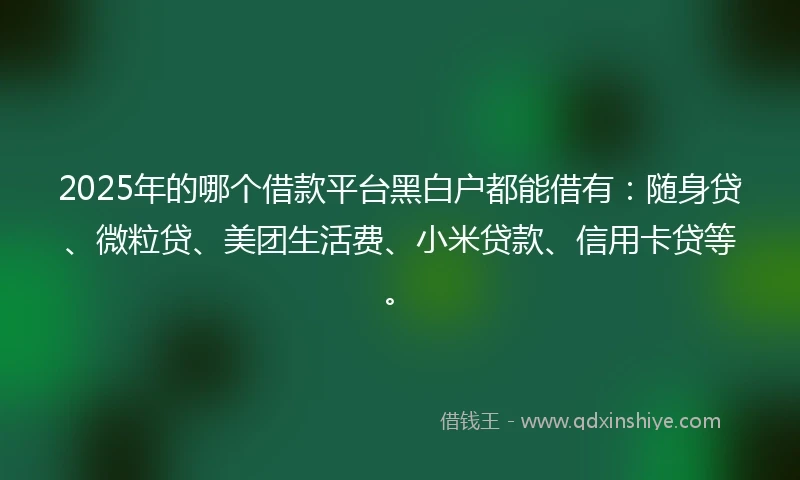 2025年的哪个借款平台黑白户都能借有：随身贷、微粒贷、美团生活费、小米贷款、信用卡贷等。
