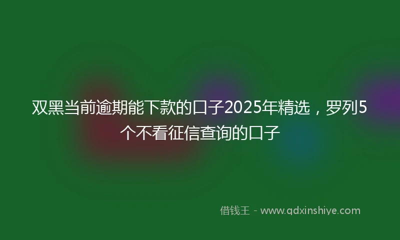 双黑当前逾期能下款的口子2025年精选，罗列5个不看征信查询的口子