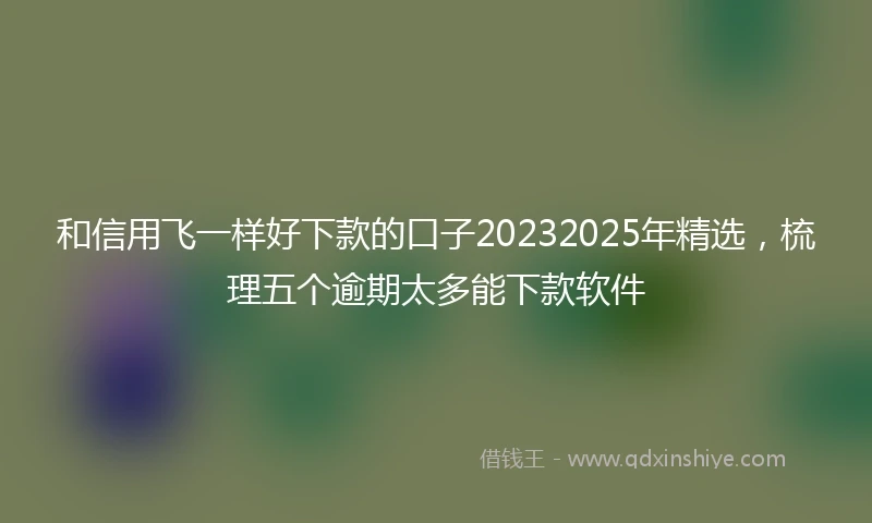 和信用飞一样好下款的口子20232025年精选，梳理五个逾期太多能下款软件