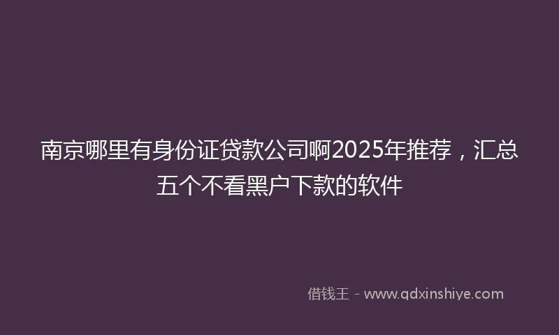 南京哪里有身份证贷款公司啊2025年推荐，汇总五个不看黑户下款的软件