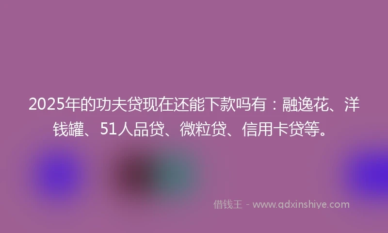 2025年的功夫贷现在还能下款吗有：融逸花、洋钱罐、51人品贷、微粒贷、信用卡贷等。