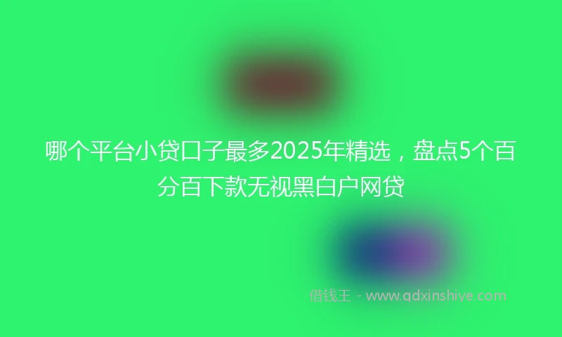 哪个平台小贷口子最多2025年精选，盘点5个百分百下款无视黑白户网贷
