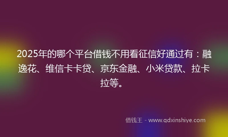 2025年的哪个平台借钱不用看征信好通过有：融逸花、维信卡卡贷、京东金融、小米贷款、拉卡拉等。