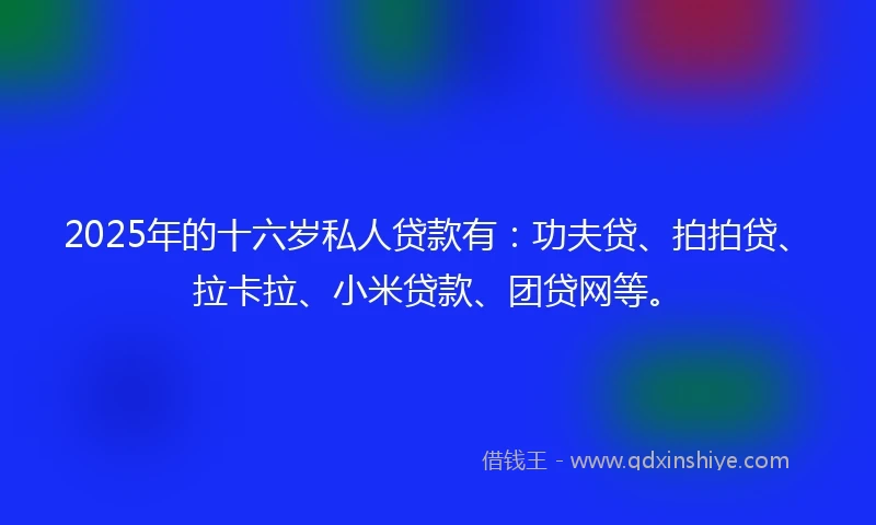 2025年的十六岁私人贷款有：功夫贷、拍拍贷、拉卡拉、小米贷款、团贷网等。