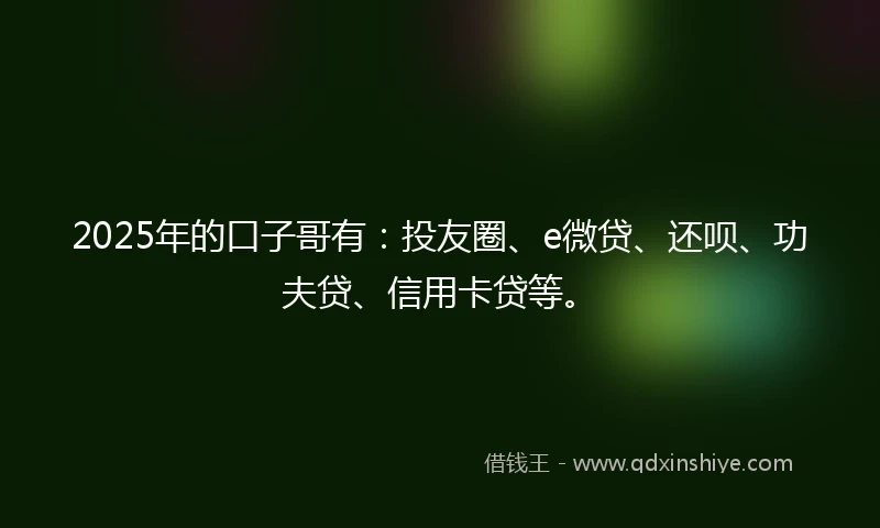 2025年的口子哥有：投友圈、e微贷、还呗、功夫贷、信用卡贷等。